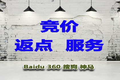 SEM专员的角色与成功案例解析